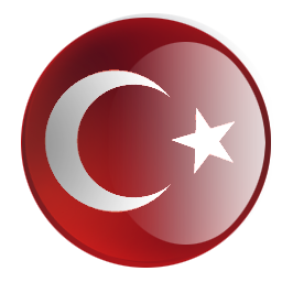Türkçe